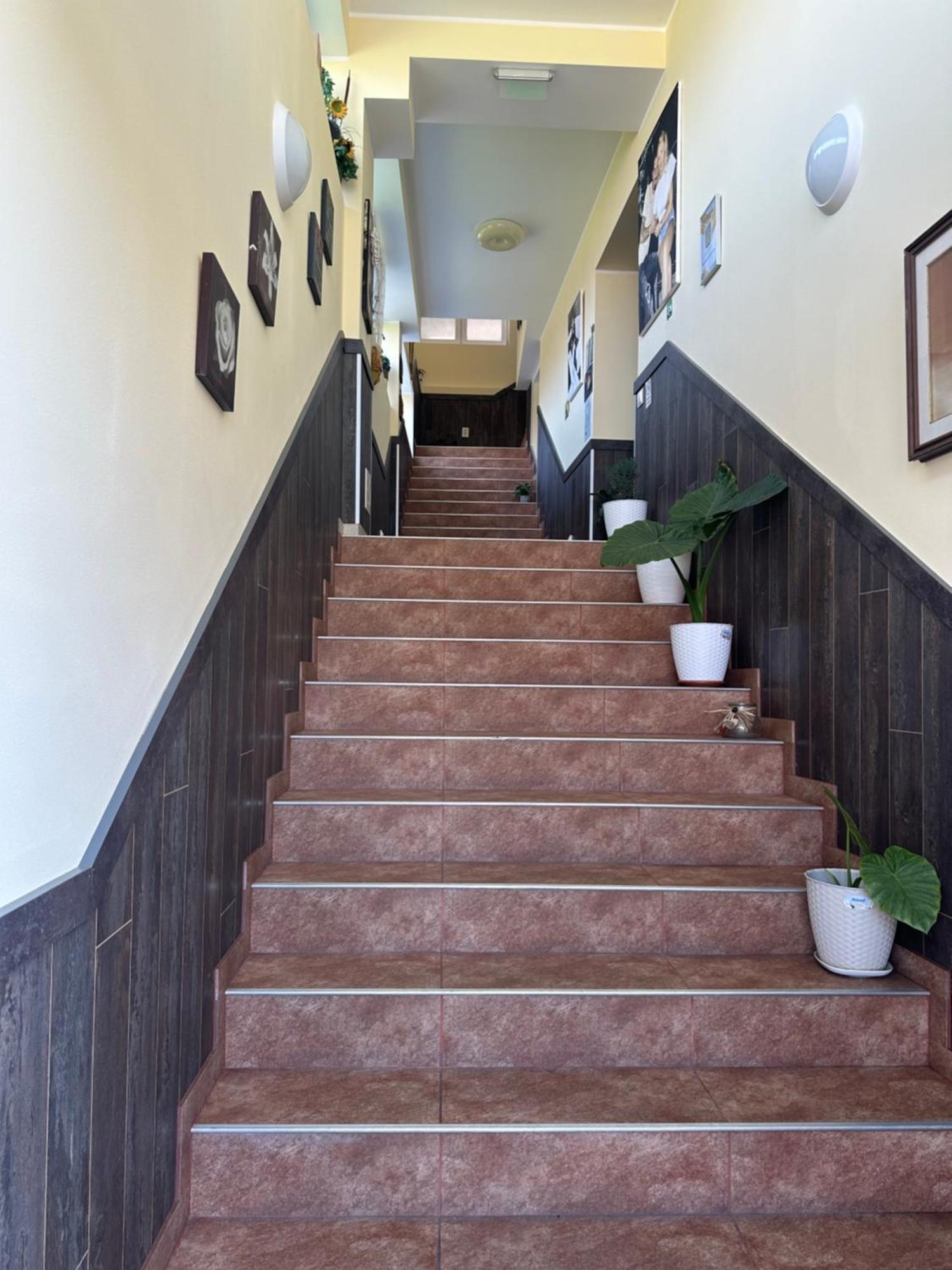 Hotel Casa Clau à Orşova Extérieur photo